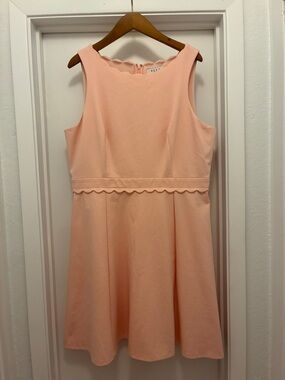 Blush Scalloped Waist Dress
